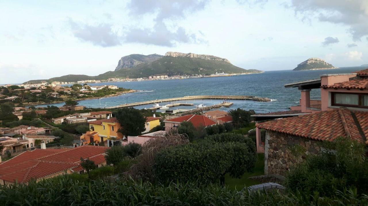 Apartmán Blue Portrait House Golfo Aranci Exteriér fotografie